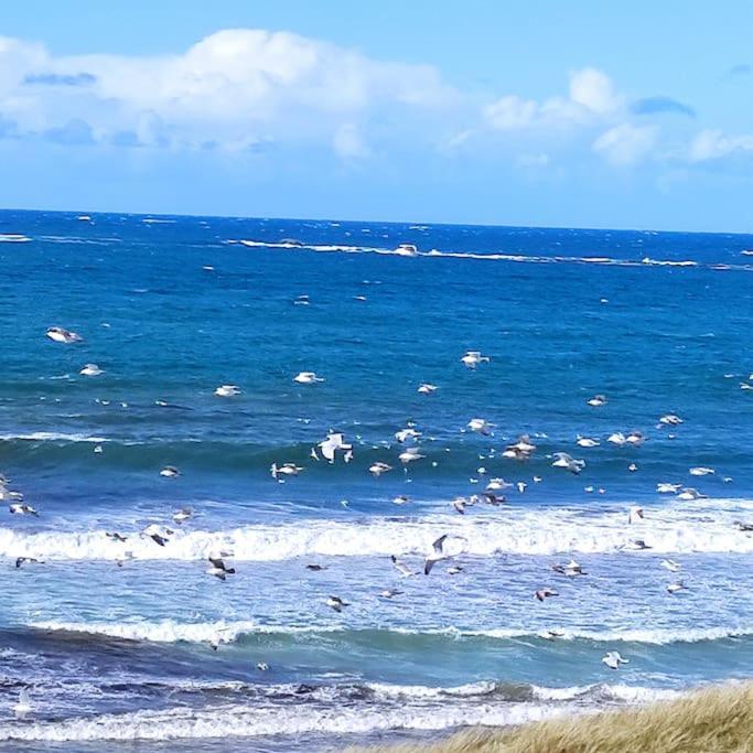 Gite Kerbourc'H Charmant Et Confortable, Mer Et Plages A 3Km, Ploudalmézeau Exterior foto
